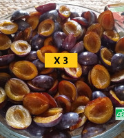 LES JARDINS DE KARINE - Quetsche violette en quartier surgelée - 3kg