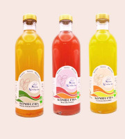 Mama Kombucha - Mama Kombucha – Coffret Découverte (3 x 70cl) – Boissons fermentées artisanales bio