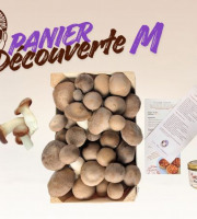 Les Myconautes - Panier Myconautes champignons bio - Taille M