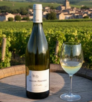 Domaine ROUX-GROS - Mâcon Péronne "Les Rochettes" 2022 6x75cl