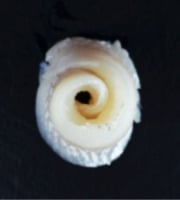 Poissonnerie Robert - Filet de Merlan 500g