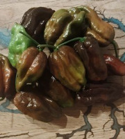 HERBA HUMANA - Habanero Choco - 300g