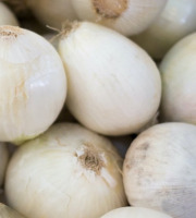 Maréchal Fraicheur - Oignons doux d’Auvergne - 1 kg