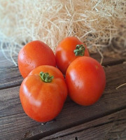 Les Jardins de Gérard - Tomate ronde rouge Bio - 500 g