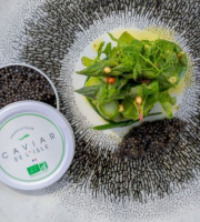 Caviar de l'Isle - Caviar Baeri Bio Français 30g - Caviar de l'Isle