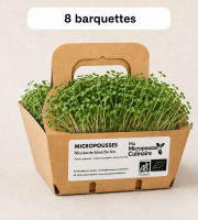 Ma Micropousse culinaire - Micro-pousses bio de moutarde blanche – 8 barquettes