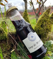 Myrtilles du Trimoulet - Sirop de Myrtilles - Petite Bouteille de 20 cL