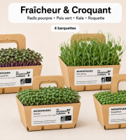 Ma Micropousse culinaire - Micro-pousses bio – Pack Fraîcheur & Croquant – Radis, pois vert, kale & roquette – 4 barquettes