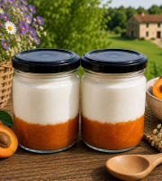 Gaec de l'Elanion - Lot de 2 Fromage Blanc Abricot