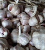 La Ferme De Jérôme - Ail Rose - [Précommande] Ail Rose En Vrac - 1kg