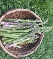 Des Poules et des Vignes à Bourgueil - Asperges vertes sauvage de Touraine