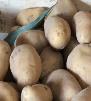 Ferme de la Paumerais - POMMES DE TERRE GRENAILLES PRIMEUR 10 KG