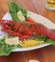 Poissonnerie Paon - Langouste Rouge cuite : Coupé en 2, 800g - 1 kg