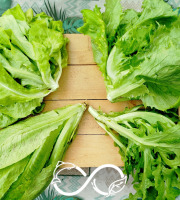 Nature et Saveurs - Ferme Aquaponique et Permacole Astérienne - Salades fraîches en duo