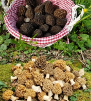 Champignons des Monts-Jura - Morilles (Noires et Blondes) Séchées Du Terroir Jurassien - pot de 50 g