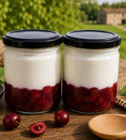 Gaec de l'Elanion - Lot de 2 Fromage Blanc Cerise