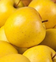 Maréchal Fraicheur - Pommes Golden - 1 kg