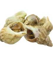 La Paysanne des Mers - Bulots cuits à l'ail et persil