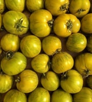 Nature et Saveurs - Ferme Aquaponique et Permacole Astérienne - Tomate Green Zebra - Kg