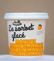 Bon Dimanche - Sorbet Mangue Alphonso Plein Fruit Bio 6 x 400ML
