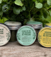 Cressonnière de Montmirault - Lot de 3 aromatiques