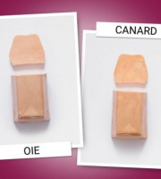 Lucien Doriath - Duo de foie gras tradition oie et canard (2x250 grammes)