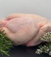 La Ferme d'Autrac - Poulet fermier minimum 2 KG