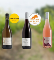Domaine de la Chopinière du Roy - Coffret cadeau découverte vins de Loire Apéro Ligérien (vin rouge, blanc et rosé) - 3 x 75 cl