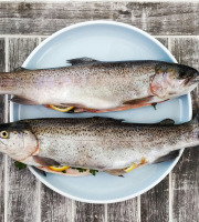 Nature et Saveurs - Ferme Aquaponique et Permacole Astérienne - Duo gourmand de truites blanches – Élevées en aquaponie