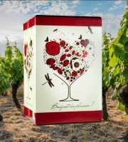 Domaine de la Perrée - AOC Saint Nicolas de Bourgueil - Rouge Bag In Box (BIB) 5L