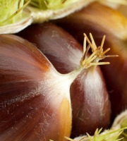 Maréchal Fraicheur - Marrons - 1 kg