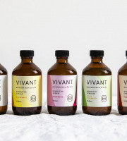 Vivant Kombucha - Coffret Découverte Kombucha Bio x12