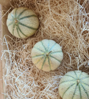 Le Châtaignier - Lot de 3 Melons