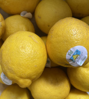 Des Poules et des Vignes à Bourgueil - Citrons