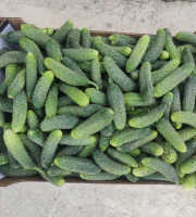 Ferme de la ville basse - Cornichons  Bio Mix très fin-extra fin