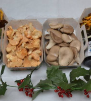 Trapon Champignons - Coffret Spécial Noël