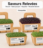Ma Micropousse culinaire - Micro-pousses bio – Pack Saveurs Relevées – Brocoli, radis, roquette & moutarde – 4 barquettes