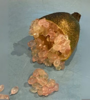 Ferme Les Jardines - Citron Caviar Pink Ice Bio