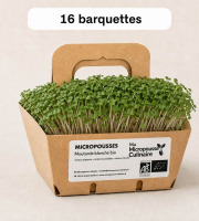 Ma Micropousse culinaire - Micro-pousses bio de moutarde blanche – 16 barquettes
