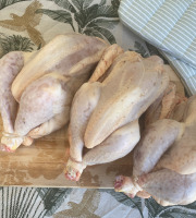 Ferme des Gravelines - Poulet entier fermier BIO 1,8kg – Lot de 3