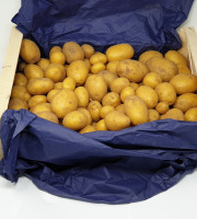 Langevine - Pommes de terre nouvelle "Sirtema" bio