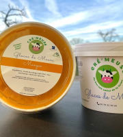Glaces de Meuse - "Mangue" - Sorbet PF (360gr x 3)