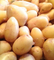 Aux Jardins des Colibris - 2kg de pommes de terre nouvelles