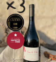 Domaine de la Chopinière du Roy - Lot de 3 Bouteilles de vin rouge Saint Nicolas de Bourgueil cuvée Sous la Robe 2022 - 3 x 75 cl