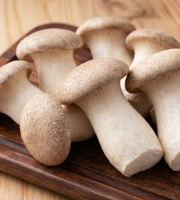 Cham B - Pleurotes du Panicaut (eryngii) Bio frais 2kg