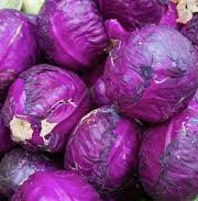 Nature et Saveurs - Ferme Aquaponique et Permacole Astérienne - Chou cabus rouge – La couleur vive au cœur de l’assiette
