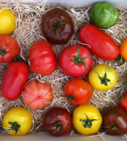 La Ferme de Goas Per - Tomate ancienne bio 500gr