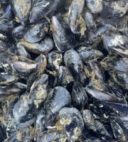 Chez Yoann et Jenny, producteurs d'huîtres de Bouzigues - Moules de corde - 1kg