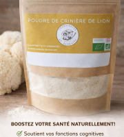 Champinette et Aromates - POUDRE DE CRINIERE DE LION