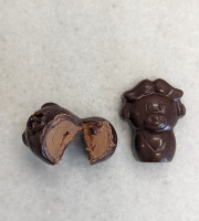 Acaoyer - Chocolats Minis animaux Praliné